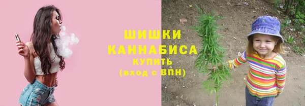 шишки Наволоки