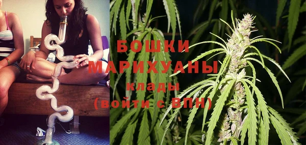 шишки Наволоки