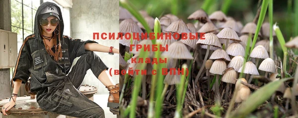 прущие грибы Нефтегорск