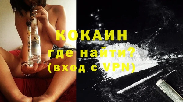 шишки Наволоки